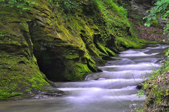 Falls Creek Gorge Nature Preserve, Indiana